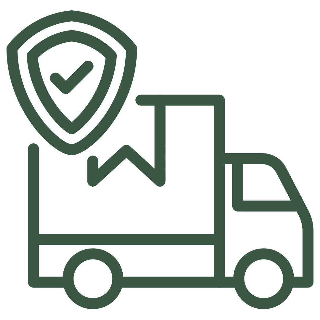Free Insured Shipping