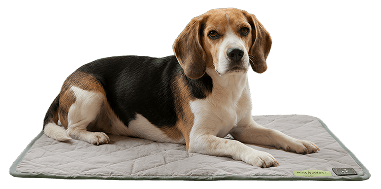 Durable, Pet-Safe Construction